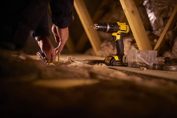 Best Insulation Removal  in Oakdale, PA