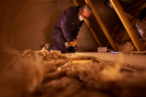 Best Insulation Contractors for Homes  in Oakdale, PA