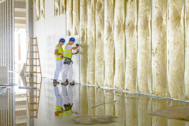 Best Affordable Insulation Services  in Oakdale, PA